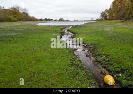 Edgabston Reservoir, Birmingham, 11. November 2022. - Die Wasserstände im Edgbaston Reservoir in Birmingham liegen immer noch weit unter dem üblichen Winterniveau. Das Wasser ist zurückgegangen und hat viele exponierte Schlamm- und Schlammflächen mit einer neuen Grasschicht, die über mehrere Monate Dürrebedingungen gewachsen ist. Das städtische Reservoir ist eine Meile (1,6 km) vom Stadtzentrum von Birmingham entfernt. PIC by Credit: Stop Press Media/Alamy Live News Stockfoto