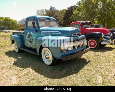Altes blaues Dienstprogramm 1951 Ford F 1 Pickup-LKW auf dem Land. Logo für Originalteile des Vertriebsservice an der Tür. Autoklasica 2022 Oldtimer-Show Stockfoto