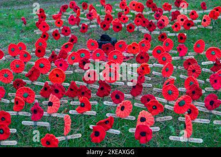 Chalfont St Peter, Buckinghamshire, Großbritannien. 11.. November 2022. Heute Morgen versammelten sich die Dorfbewohner in der Pfarrkirche im Dorf Chalfont St. Peter zu zwei Minuten Stille in Erinnerung an unsere Kriegtot. Die Gebete wurden von Vikar Revd John Goodman geleitet. Mohnblumen mit den Namen von Dorfbewohnern, die im ersten und zweiten Weltkrieg ihr Leben verloren, wurden auf dem Gelände der Kirche aufgestellt. Quelle: Maureen McLean/Alamy Live News Stockfoto