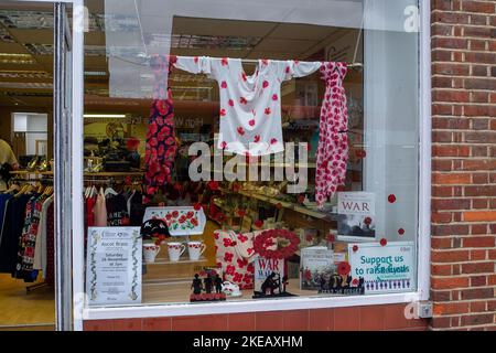 Chalfont St Peter, Buckinghamshire, Großbritannien. 11.. November 2022. Mohnblumen, damit wir nicht vergessen, Fahnen und bunte Erinnerungsfenster im Dorf Chalfont St. Peter. Quelle: Maureen McLean/Alamy Live News Stockfoto