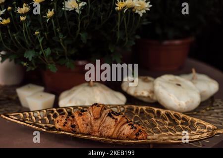 Herbstzusammensetzung weiße Chrysanthemen in einem Topf, Kürbisse und Croissant Stockfoto