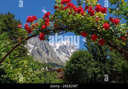 Das Grand Jorasses-Massiv aus Entreves befindet sich im rosses-Val Ferret-Tal in Italien. Stockfoto