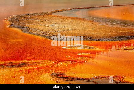 Nahaufnahme der Grand Prismatic Spring im Yellowstone National Park, Wyoming Stockfoto