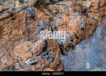 Der Strand und die Felsen sind mit Öl verschmutzt. Die Ölkatastrophe im Nordosten Brasiliens hat die Umwelt beeinträchtigt. Stockfoto