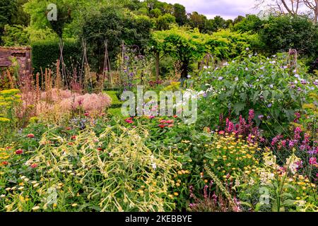 Farbenfrohe Pflanzen und Pflanzen im ummauerten Garten des Heale House - einem aus Backsteinen gebauten Herrenhaus aus dem 17.. Jahrhundert in Middle Woodford, Wiltshire, England, Großbritannien Stockfoto