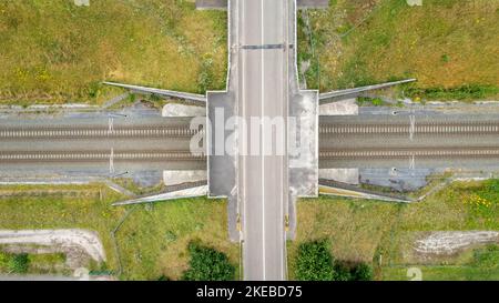 Eisenbahn auf dem Land, unter einer Brücke, Luftaufnahme - schöne grüne Landschaft - Reise-, Natur- und Transportkonzepte. Hochwertige Fotos Stockfoto