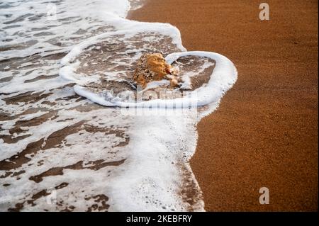 Kleiner Stein, der am Sandstrand mit schaumigen Meerwasser überflutet ist, schöne Textur aus winzigen Sandkörnern. Stockfoto