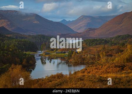 Herbst in Geln Affric Stockfoto