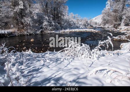 Neu gefallener Schnee klammert sich an den Bäumen und Büschen entlang eines Bergbaches. Stockfoto