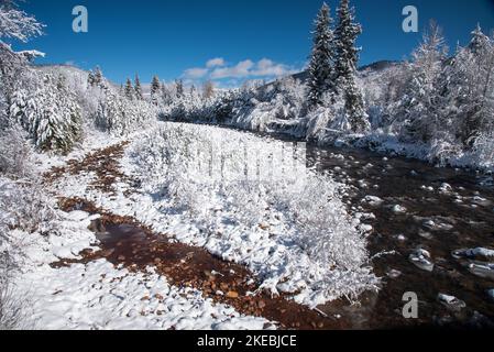 Neu gefallener Schnee klammert sich an den Bäumen und Büschen entlang eines Bergbaches. Stockfoto