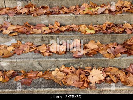 Treppen mit Herbstlaub Blick auf alte Steintreppen im Herbstpark. Stockfoto