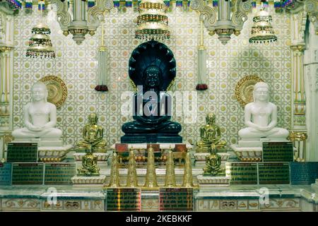 Jina-Bilder vom berühmten Gajaratha Digambar Jain-Tempel von Rohtak Stockfoto