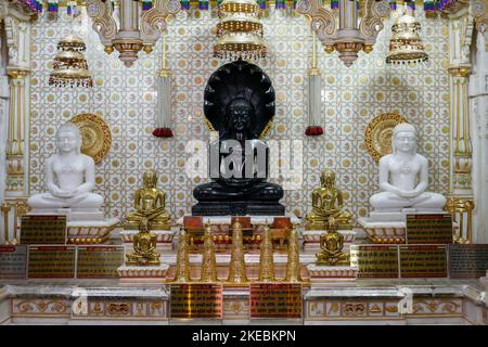 Jina-Bilder vom berühmten Gajaratha Digambar Jain-Tempel von Rohtak Stockfoto