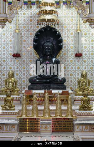 Jina-Bilder vom berühmten Gajaratha Digambar Jain-Tempel von Rohtak Stockfoto