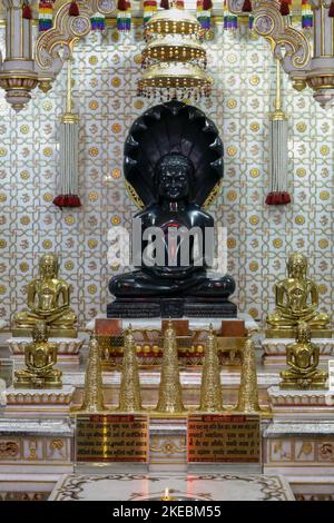 Jina-Bilder vom berühmten Gajaratha Digambar Jain-Tempel von Rohtak Stockfoto