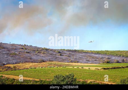 Intervention sur le lieu d'un incendie de forêt,Occitanien,Frankreich. Stockfoto