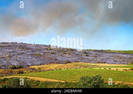 Intervention sur le lieu d'un incendie de forêt,Occitanien,Frankreich. Stockfoto