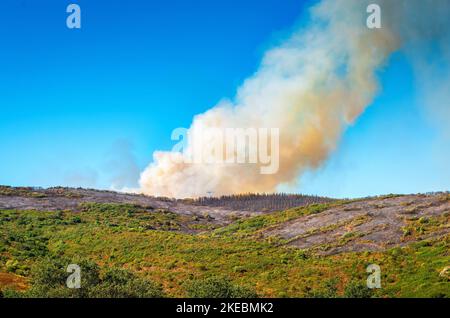 Intervention sur le lieu d'un incendie de forêt,Occitanien,Frankreich. Stockfoto