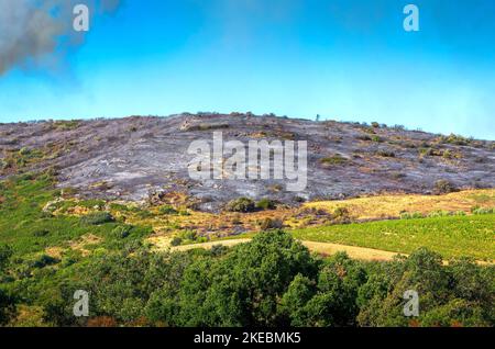 Intervention sur le lieu d'un incendie de forêt,Occitanien,Frankreich. Stockfoto