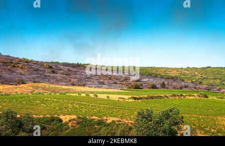 Intervention sur le lieu d'un incendie de forêt,Occitanien,Frankreich. Stockfoto