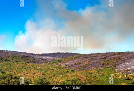 Intervention sur le lieu d'un incendie de forêt,Occitanien,Frankreich. Stockfoto