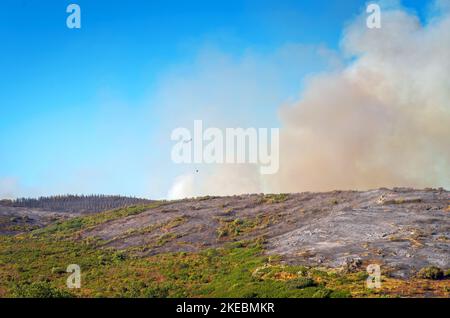 Intervention sur le lieu d'un incendie de forêt,Occitanien,Frankreich. Stockfoto