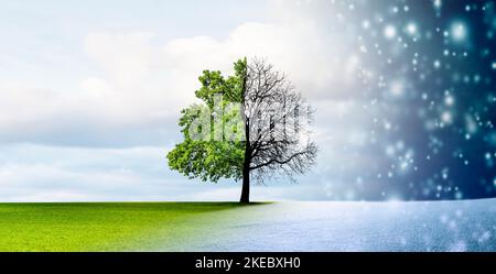 Die Saison wechselt von Winter zu Frühling mit Baum im Fokus Stockfoto