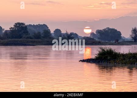 Sonnenaufgang über der Elbe bei Bleckede Stockfoto