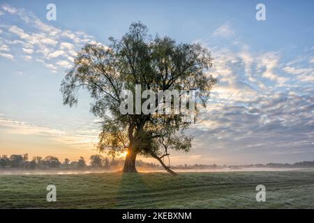 Sonnenaufgang über der Elbe bei Bleckede Stockfoto