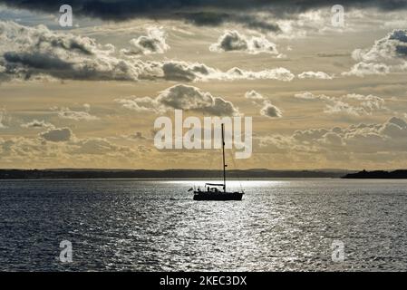 Silhouette einer Einzelyacht, die den Hafen von Portsmouth mit einem herbstlichen Sonnenuntergang und der Isle of Wight im Hintergrund von Hampshire England Großbritannien erreicht Stockfoto