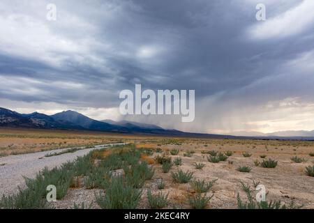 Regenwolken sammeln sich über dem Great Basin National Park und der Snake Mountain Range in der Nähe von Baker, Nevada. Der herannahende Sturm verdunkelt den Himmel. Stockfoto