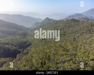 Nordamerika, Karibik, Großantillen, Hispaniola Island, Dominikanische Republik, Central Cordillera, Parque Nacional Armando Bermúdez, Luftaufnahme der Central Cordillera am Pico Duarte Stockfoto