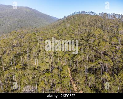 Nordamerika, Karibik, Großantillen, Hispaniola Island, Dominikanische Republik, Central Cordillera, Parque Nacional Armando Bermúdez, Luftaufnahme der Central Cordillera am Pico Duarte Stockfoto