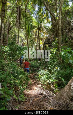Nordamerika, Karibik, Großantillen, Hispaniola Island, Dominikanische Republik, Sama, Las Galleras, Cabo Sama, Wanderer auf dem Weg nach Playa Frontón Stockfoto