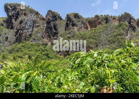 Nordamerika, Karibik, Großantillen, Hispaniola Island, Dominikanische Republik, Sama, Las Galleras, Cabo Sama, Los Farallones Felsplateau bei Cabo Sama Stockfoto