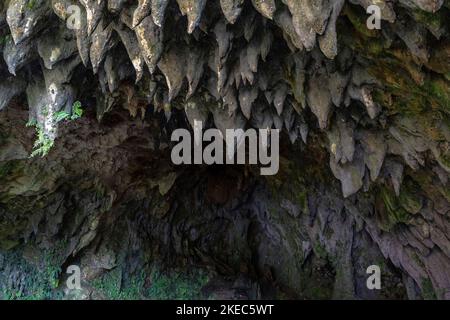 Nordamerika, Karibik, Großantillen, Hispaniola Island, Dominikanische Republik, Sama, Boulevard Turístico del at ntico, Stalaktiten in der Höhle auf Panoramastraße Stockfoto