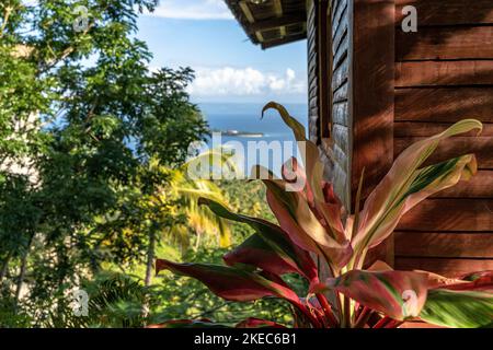 Nordamerika, Karibik, Großantillen, Hispaniola Island, Dominikanische Republik, Sama, Blick vom Boutique Hotel Hacienda Cocuyo auf die Insel Cayo Levantado Stockfoto