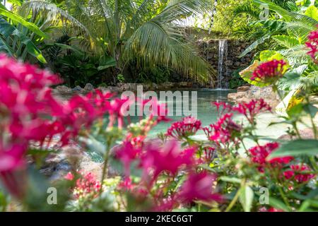 Nordamerika, Karibik, Großantillen, Hispaniola Island, Dominikanische Republik, Sama, Las Galerien, Pool im tropischen Garten des Eco Hotel Chalet Tropical Stockfoto
