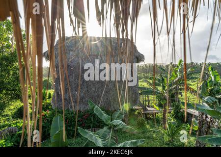Nordamerika, Karibik, Großantillen, Hispaniola Island, Dominikanische Republik, Sama, niedrige Sonne hinter dem Palmendach eines Bungalows in der Sama Eco Lodge in der Nähe von El Limón Stockfoto