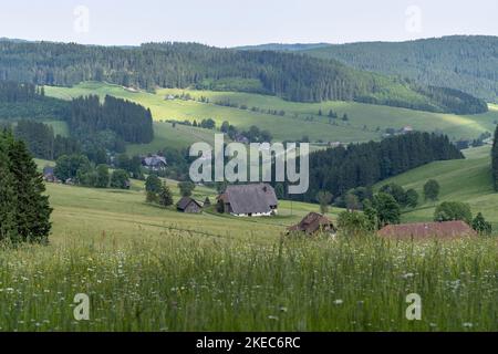 Europa, Deutschland, Süddeutschland, Baden-Württemberg, Schwarzwald, Blick von Doldenbühl über die malerischen Schwarzwälder Bauernhöfe bei Thurner Stockfoto