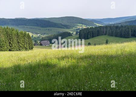 Europa, Deutschland, Süddeutschland, Baden-Württemberg, Schwarzwald, Blick von Doldenbühl über die malerischen Schwarzwälder Bauernhöfe bei Thurner Stockfoto