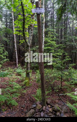 Europa, Deutschland, Süddeutschland, Baden-Württemberg, Schwarzwald, Mark auf der Weisstannenhöhe Stockfoto