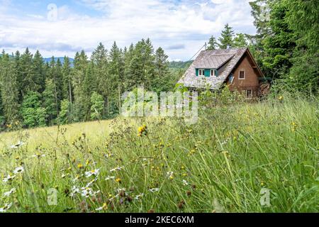 Europa, Deutschland, Süddeutschland, Baden-Württemberg, Schwarzwald, Idyllisches Haus im Südschwarzwald Stockfoto