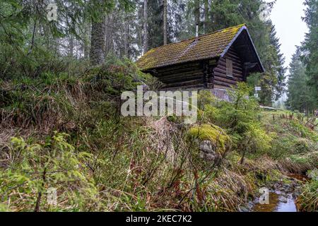 Europa, Deutschland, Süddeutschland, Baden-Württemberg, Schwarzwald, Prinzenhütte am Westweg Stockfoto