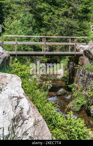 Europa, Deutschland, Süddeutschland, Baden-Württemberg, Schwarzwald, Kleine Holzbrücke über den Seebach Stockfoto