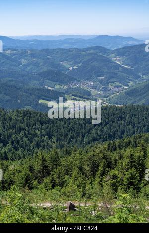 Europa, Deutschland, Süddeutschland, Baden-Württemberg, Schwarzwald, Weitblick über eine typische Schwarzwaldlandschaft im Nordschwarzwald Stockfoto