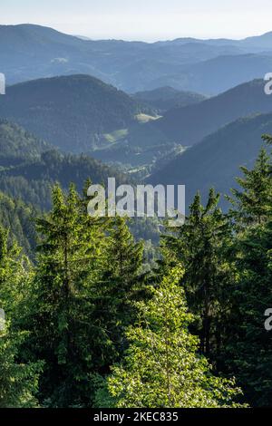 Europa, Deutschland, Süddeutschland, Baden-Württemberg, Schwarzwald, Blick über ein kleines Schwarzwaldtal Stockfoto