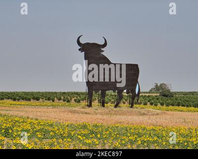 Gigantisch ikonische Skulptur der Silhouette eines schwarzen spanischen Kampfbullen, der auf einem Feld mit gelben Sonnenblumen steht Stockfoto