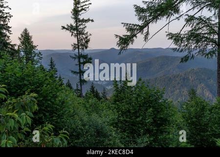 Europa, Deutschland, Süddeutschland, Baden-Württemberg, Schwarzwald, Blick von der Hasemannhütte über die malerische Hügellandschaft im Mittleren Schwarzwald bei Sonnenuntergang Stockfoto