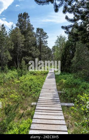 Europa, Deutschland, Süddeutschland, Baden-Württemberg, Schwarzwald, Holzfußbrücke durch das Moor am Blindensee bei Schönwald im Schwarzwald Stockfoto